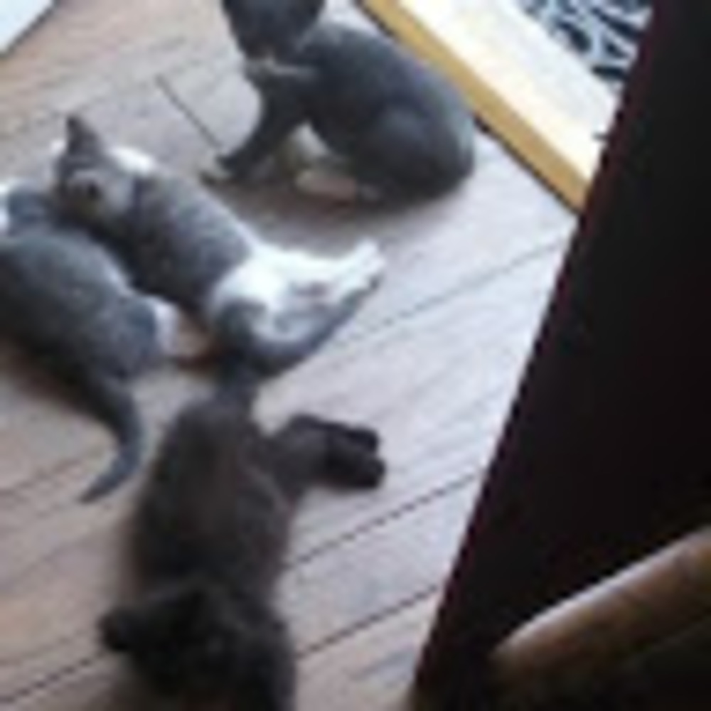 Meet your Posher, Amber